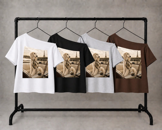 paris in style